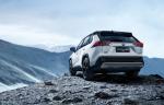 Toyota RAV4 Hybrid 2019 года (CN)